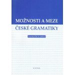 Možnosti a meze české gramatiky