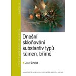 Dnešní stav skloňování substantiv typů kámen a břímě